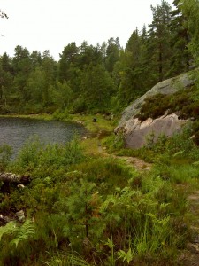 Klapvognen måtte vi efterlade bag os