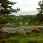 Fin udsigt fra hytten