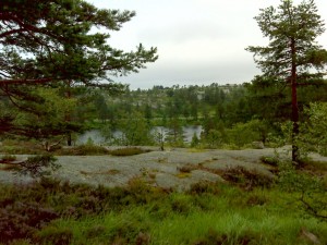 Fin udsigt fra hytten