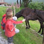 Og nysgerrige var de også