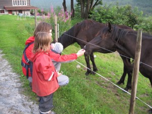 Og nysgerrige var de også