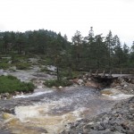 Så var der gang i strømmen