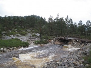 Så var der gang i strømmen