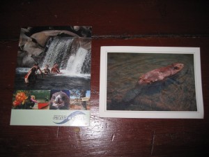 De udvalgte postkort