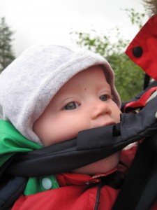 Hvad skal man da med en sut?