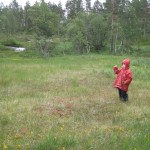 Ellen tager et overblik af situationen, for at finde ud af hvilken vej der er mindst sumpet.