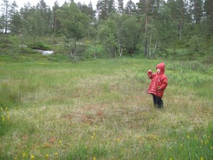Ellen tager et overblik af situationen, for at finde ud af hvilken vej der er mindst sumpet.