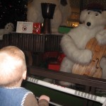 Karen kigger fascineret på isbjørnene