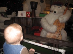 Karen kigger fascineret på isbjørnene