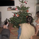 Juletræet beundrers