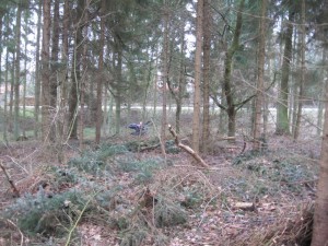 Find Karen - hun kunne altså ikke lige komme med ind til troldehullet