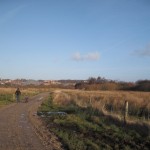 Ellen gad ikke rigtig gå med