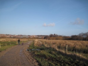 Ellen gad ikke rigtig gå med