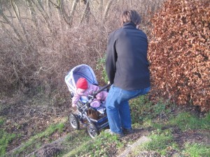 Hvorfor har de dog ikke lavet en opkørsel?