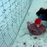 Efter et fint rullefald