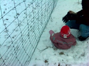 Efter et fint rullefald