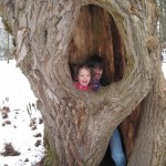 De kunne lige være der