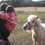 Nysgerrig pony - lidt nervøs Ellen