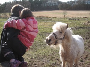 Nysgerrig pony - lidt nervøs Ellen