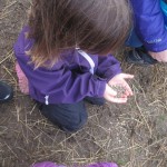 Ellen er klar til at fodre geder