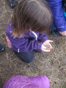 Ellen er klar til at fodre geder