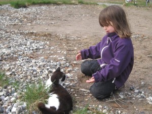 Lidt rolig tid med katten