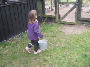 På vej ind for at fodre høns