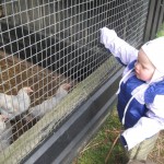 Men ville alligevel gerne være med