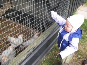 Men ville alligevel gerne være med