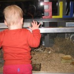 Et sidste kig til Skalle og Skipper