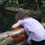 At kigge dybt i vandet