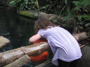 At kigge dybt i vandet