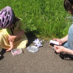 En lille geocache