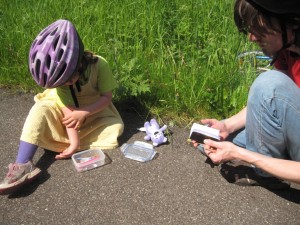 En lille geocache