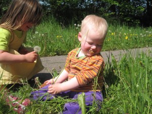 Småkager ved vejs ende
