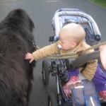 Gåtur med klappedyr