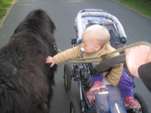 Gåtur med klappedyr