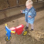 Det allermest spændende på hele gården.