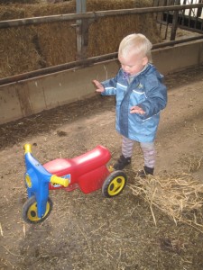 Det allermest spændende på hele gården.