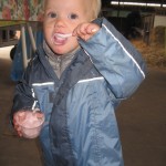 Okay, skyr med blåbær var heller ikke at foragte.