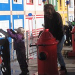 Ellen og Kåre slukker ildebrand