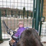 Karen og Siri kigger på elefanter