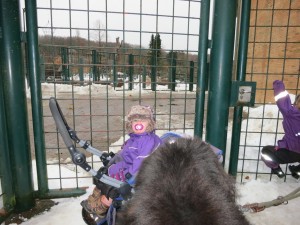 Karen og Siri kigger på elefanter