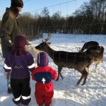 Ud og se om dyrene havde det godt