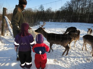 Ud og se om dyrene havde det godt