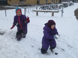 Sneboldkamp i midten af marts...