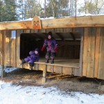 Shelters i skoven