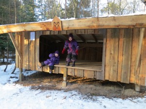 Shelters i skoven
