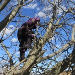 Geocaching - Ellen sonderer terrænet