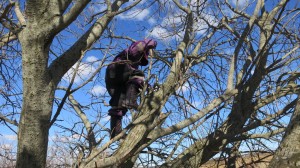 Geocaching - Ellen sonderer terrænet